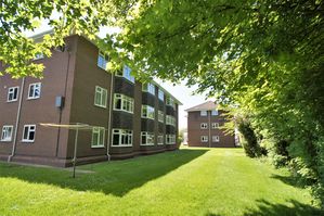 Communal Gardens - click for photo gallery